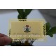 gold metal business card