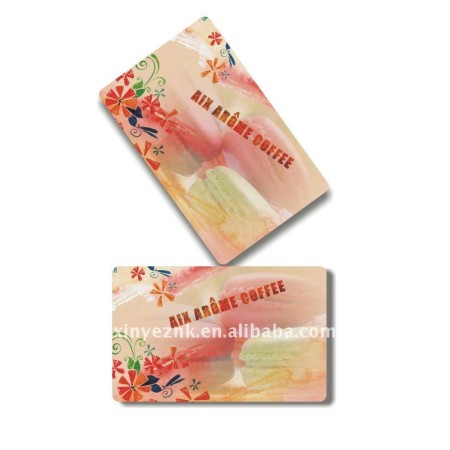 full color offset printed company vip business plastic card