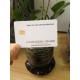 CR80 Standard Smart Card Contact Rfid Blank Card