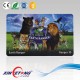 Logo Printable Type 2 Ntag213 NFC Cards,best plastic business cards